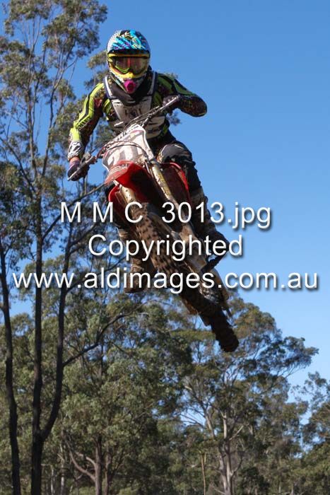 445x677 pixels (75K)